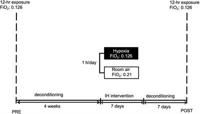 Carry-Over Quality of Pre-acclimatization to Altitude Elicited by Intermittent Hypoxia: A Participant-Blinded, Randomized Controlled Trial on Antedated Acclimatization to Altitude